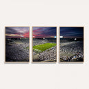 Penn State Nittany Lions Football Team Print - University