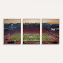 Arizona Wildcats Football Team Print - Tucson Arizona