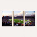 Buffalo Bills Football Team Print - Buffalo Highmark Stadium