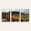 Central Michigan University Chippewas Football Team Print -