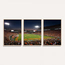Clemson University Tigers Art Print, Football Team Print -