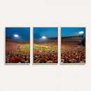 Clemson University Tigers Football Team Print - Clemson