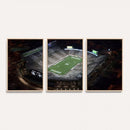 Michigan State Spartans Football Team Print - East Lansing
