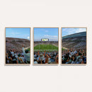 Michigan State Spartans Football Team Art Print - East