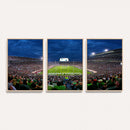 Michigan State Spartans Football Team Print - East Lansing