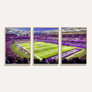 Northwestern University Wildcats Football Team Print -