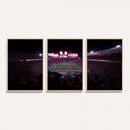 Ohio State University Buckeyes Football Team Print -