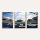 Rice University Owls Football Team Print - Houston Rice