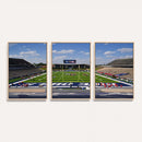 Rice University Owls Football Team Print - Houston Rice