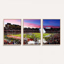 Stanford University Cardinal Football Team Print - Stanford