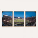 Texas Tech Red Raiders Canvas, Framed Football Team Print -