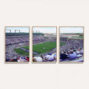 The Texas Christian University TCU Horned Frogs Football