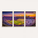 The Louisiana State University Tigers Football Team Print -