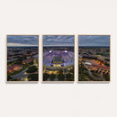 The Louisiana State University Tigers Football Team Print -