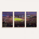 The University of Southern California USC Trojans Football