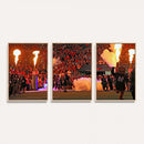 The University of Texas at San Antonio Roadrunners Football