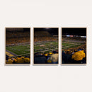 West Virginia Uni Mountaineers Football Team Print - Milan