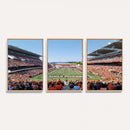 Oregon State Beavers Football Team Print - Corvallis Reser
