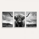 Scottish Cow Wall Art Canvas Print | Longhorn Wall Art |