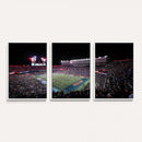 Ben Hill Griffin Stadium Night Game Triple Canvas Wall Art -