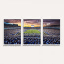 Kroger Field Wall Art Print - Kentucky Stadium Wall Art