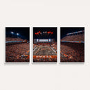 Texas Stadium Night Game Wall Art Canvas Print – Vibrant