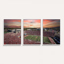 Indiana Memorial Stadium Wall Art Canvas Print, Framed