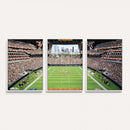 Chicago Bears Soldiers Field Wall Art Canvas Print – Framed