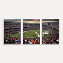 Chicago Bears Soldiers Field Wall Art Canvas Print – Framed