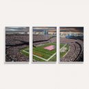 Chicago Bears Soldiers Field Wall Art Canvas Print – Framed
