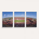 William Brice Stadium Wall Art Canvas Print – Stadium Crowd