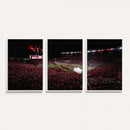William Brice Stadium Wall Art Print – Baseball Game Room