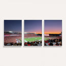 Dooley Stadium Wall Art, Sports Arena Canvas Print, Dooley