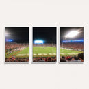 Dooley Stadium Wall Art, Sports Arena Panoramic Canvas