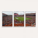 Jordan-Hare Stadium Wall Art Canvas Print, College Sports