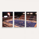 Boise State Stadium Large Wall Art Canvas Print for Living