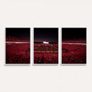 Sanford Stadium Wall Art Canvas Print – Georgia Bulldogs