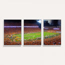 Clemson Football Stadium Wall Art Canvas Print, College