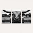 Black White Texas Longhorn Bull Canvas Wall Art, Western Ranch Cattle Photography Print, Rustic Farmhouse Cowboy Decor Artwork