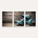 Dambell and Sport Wall Art Canvas Print