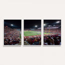 Mississippi State Bulldogs Stadium Wall Art Canvas Print –