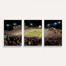 Washington-Grizzly Stadium Canvas Wall Art – Exciting Game