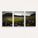 Oregon Stadium Canvas Wall Art - Captivating Game Day Scene