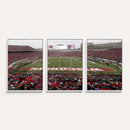 Wisconsin Badgers Team Print Canvas - Madison Camp Randall