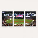 Arizona Diamondbacks Baseball Team Print - Phoenix Chase