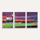 Philadelphia Phillies Baseball Team Print - Philadelphia