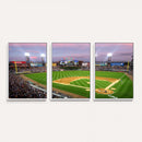 Chicago White Sox Baseball Team Print Canvas- Guaranteed