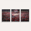 Louisville Cardinals Basketball Print Canvas - Louisville