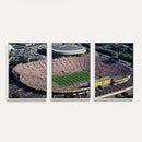 Michigan Wolverines Football Team Print - Ann Arbor Michigan