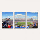 Buffalo Bills NFL Football Team Print - Buffalo Highmark
